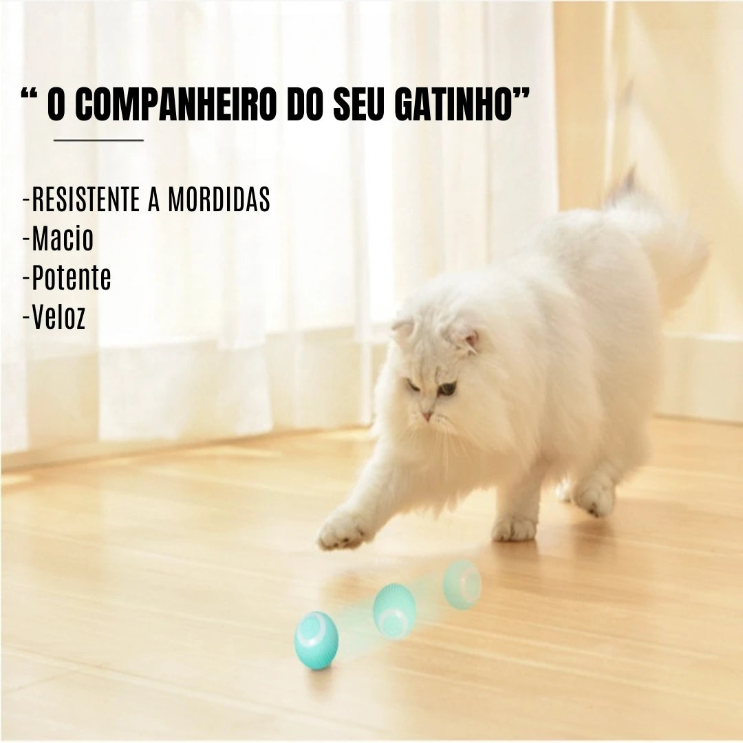 MagicCat Ball - Bola Brinquedo Pet - Sem ruidos