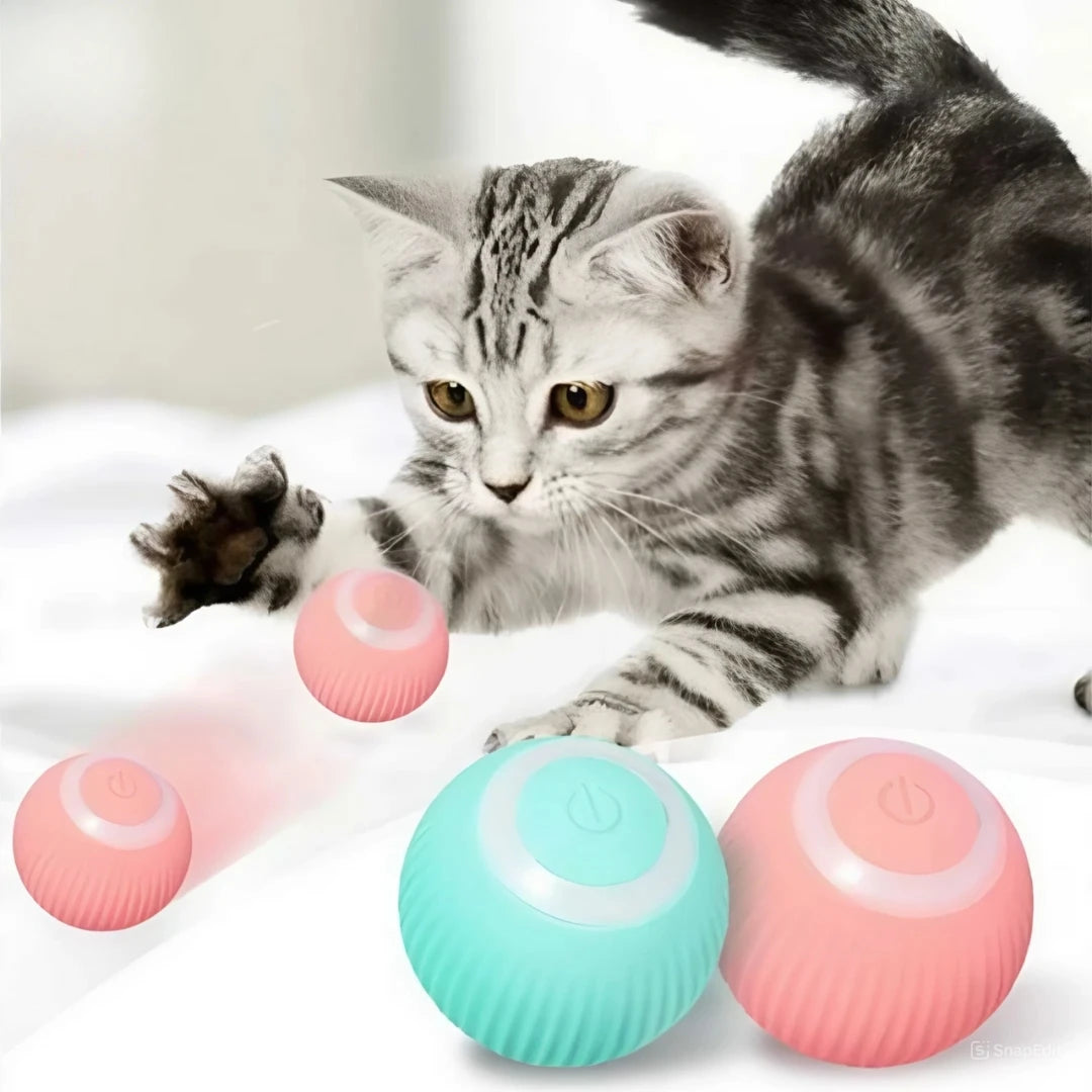 MagicCat Ball - Bola Brinquedo Pet - Sem ruidos