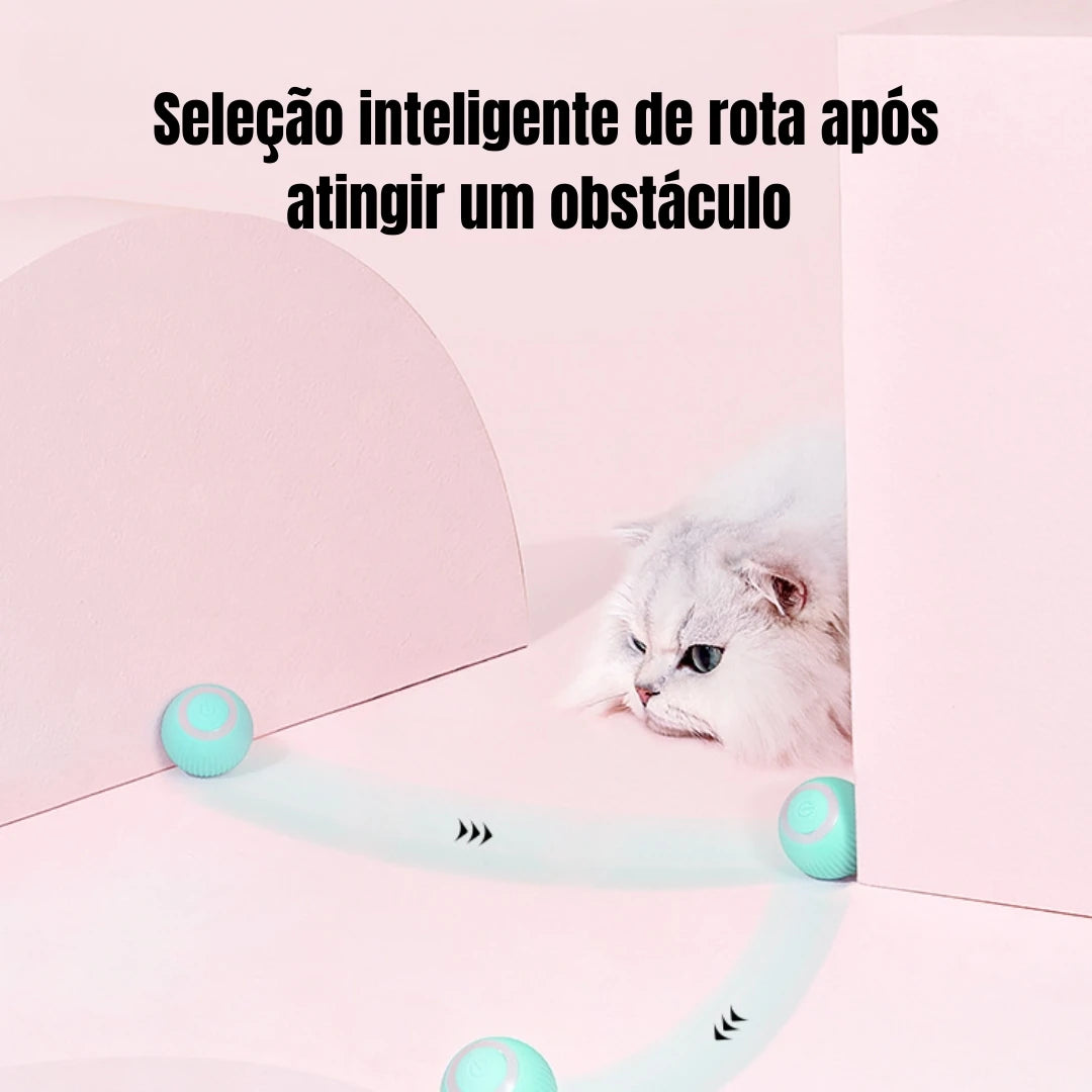 MagicCat Ball - Bola Brinquedo Pet - Sem ruidos