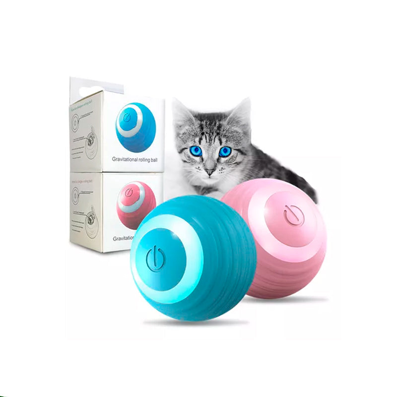 MagicCat Ball - Bola Brinquedo Pet - Sem ruidos