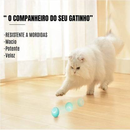 MagicCat Ball - Bola Brinquedo Pet - Sem ruidos