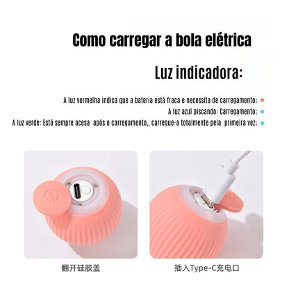 MagicCat Ball - Bola Brinquedo Pet - Sem ruidos