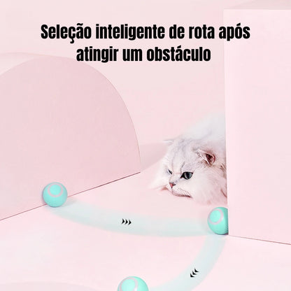 MagicCat Ball - Bola Brinquedo Pet - Sem ruidos